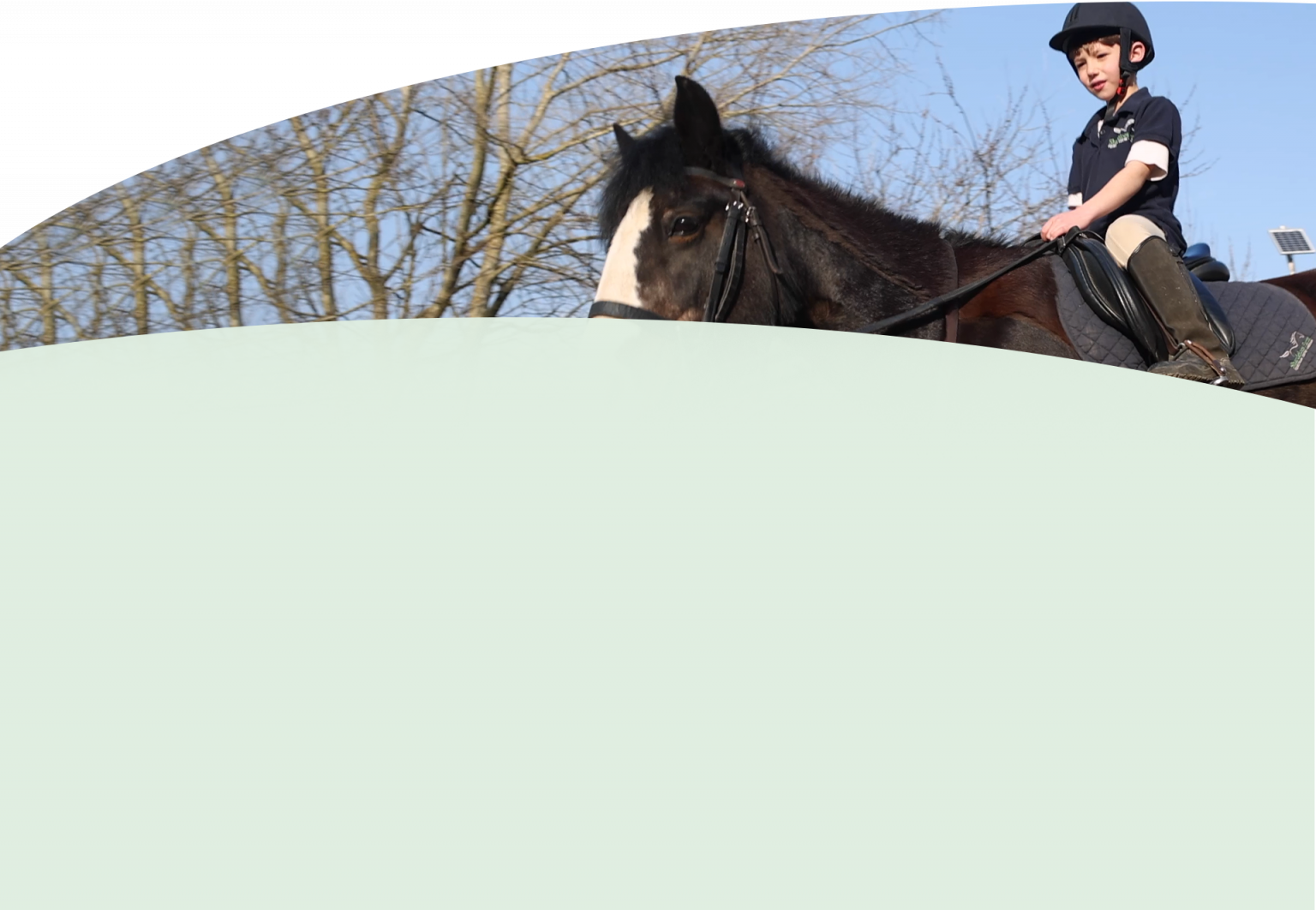 riding-lessons-shardeloes-farm-equestrian-centre