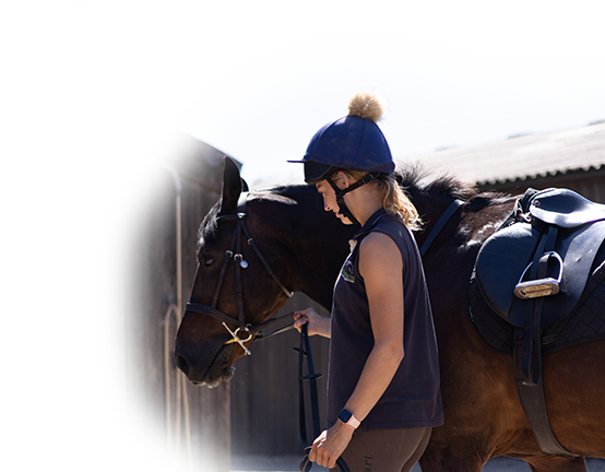 Things you need to know